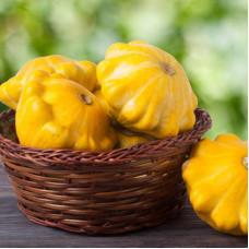 SQUASH GOLDEN MARBLE SQUASH GOLDEN MARBLE